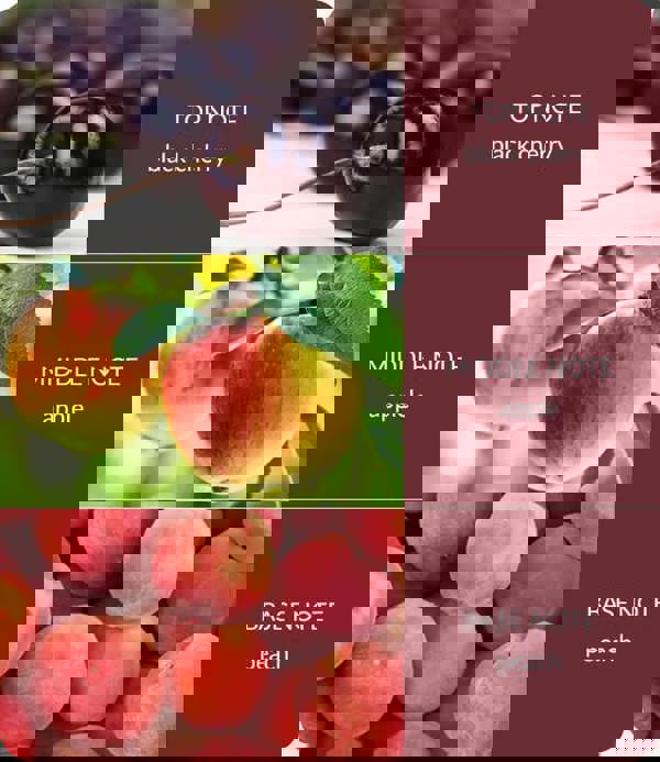 Heart & Home Sweet Black Cherries - 2 Wick Ellipse Candle