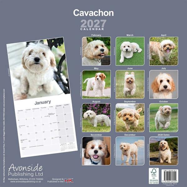 Cavachon Calendar 2027, Wall Calendars, Month To View, Dogs, Gift