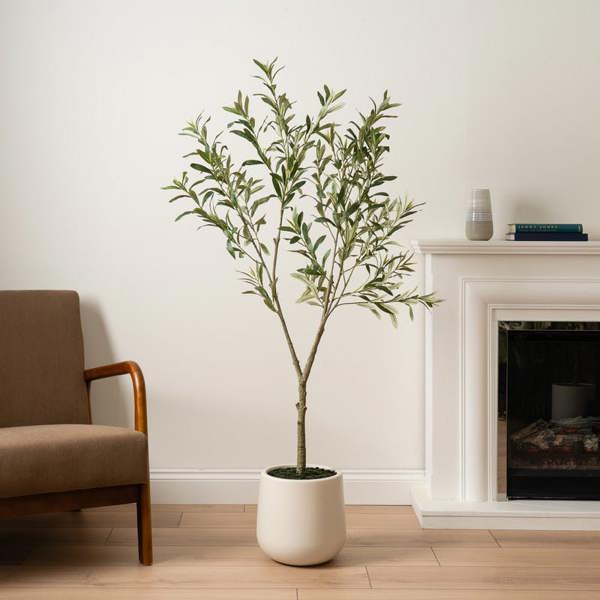 Scottish Everlastings 150cm KD Olive Tree in Cream Pot