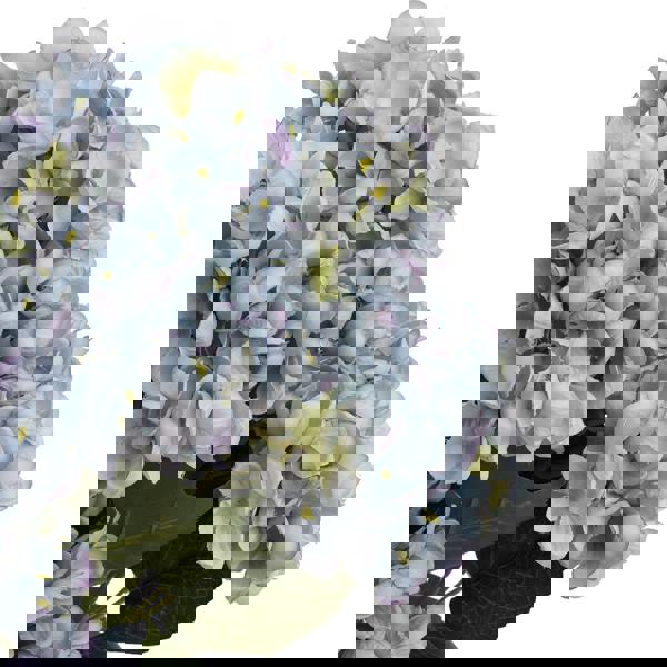 Hill Interiors Hydrangea Bunch Artificial Flower - Blue - 