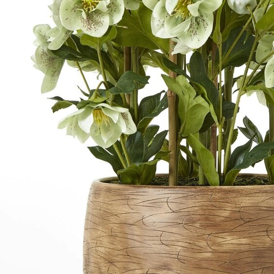 Wyld Haus Artificial Plant Large Green Hellebore in Brown Ceramic Pot