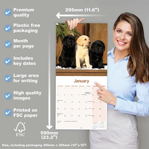 Labrador Retrievers Calendar 2027, Wall Calendars, Month To View, Dogs, Gift