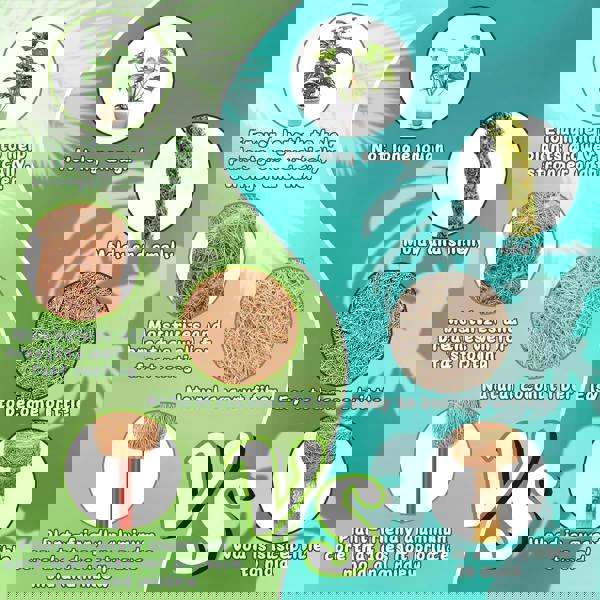 deAO Toys 4 Pack Monstera Climbing Support, 2 Pack 60cm & 2 Pack 120cm Planting Stick Coconut Plant Support