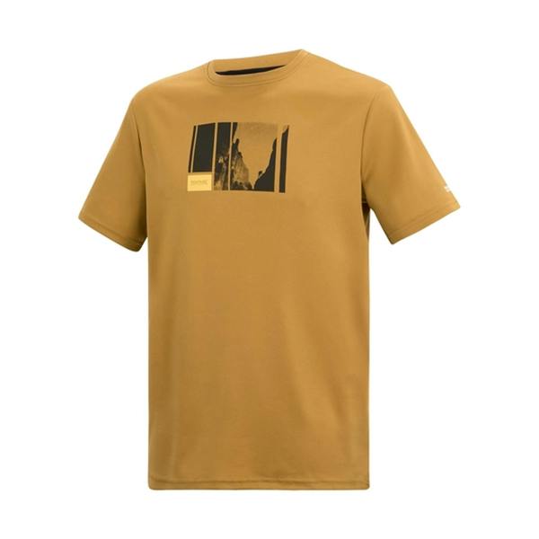 Regatta Mens Fingal Mountain Climbing T-Shirt - Wood Brown - 