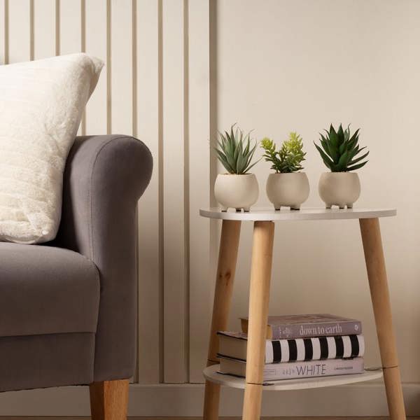 Scottish Everlastings Set of 3 15cm Succulents in Cement Pot