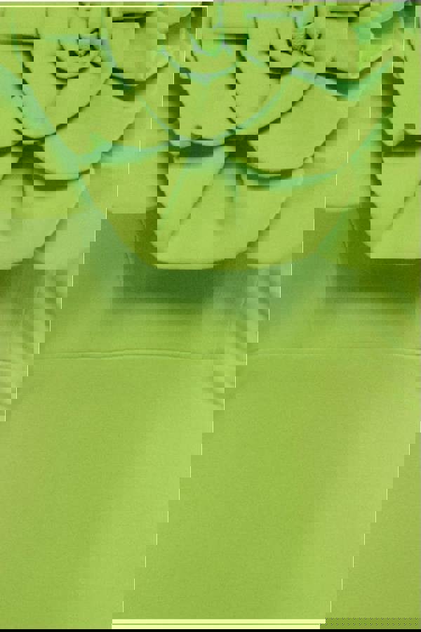 Scuba Crepe Bandeau Rose Maxi Dress - Lime Green DR4243