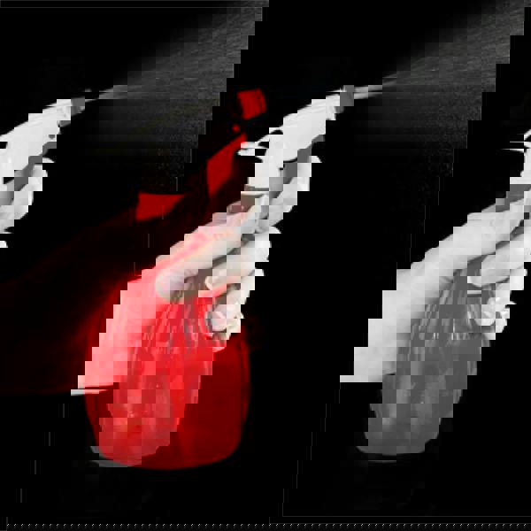 St Helens Garden Spray Bottle - 0.5L Capacity Red