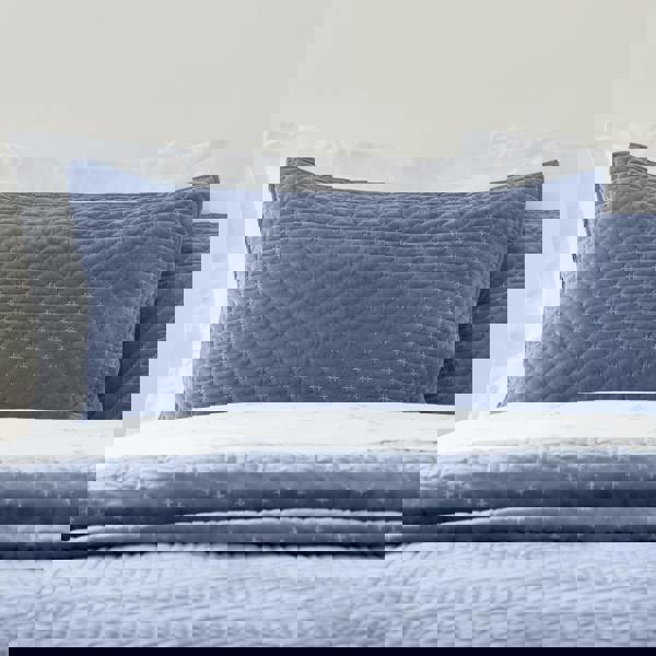 Bianca Attica Velvet Embroidered Pillow sham Pair Blue