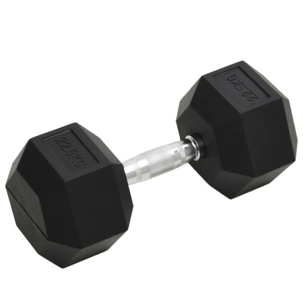 Berkfield Dumbbell 22.5 kg Cast Iron
