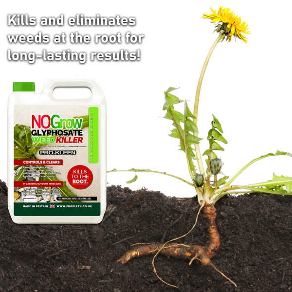 ProKleen Pro-Kleen NOGROW WeedKiller 12 Litre Deep Root Killing 7.2g/l Weed Killer Ready to Use Formula Supplied with Spray Head