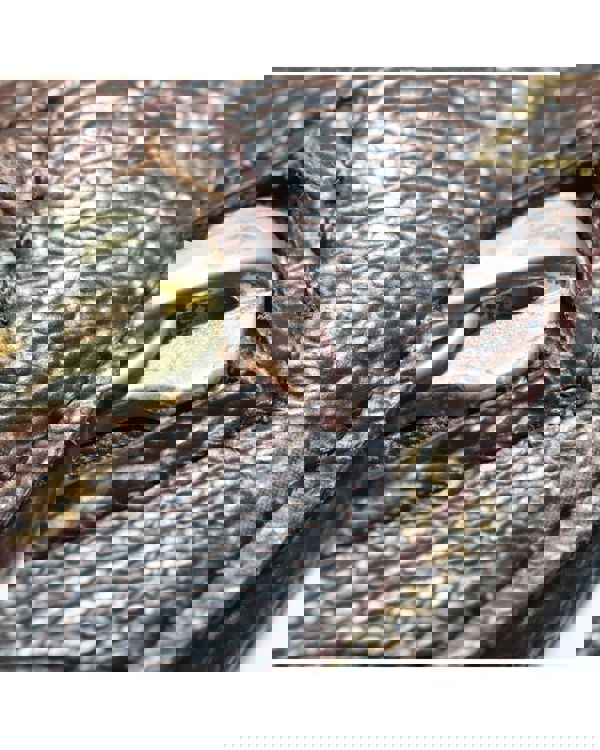 193979962.jpg