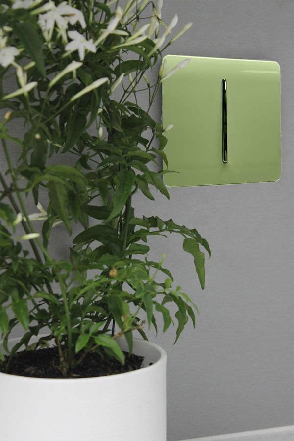 Trendi Switch 1 Gang Intermediate Rocker Light Switch in Moss Green