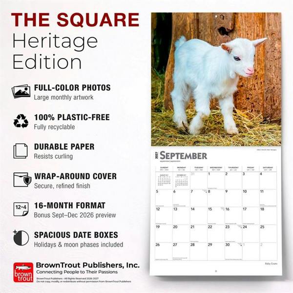 Baby Goats Calendar 2027, Wall Calendars, Month To View, Animals, Gift