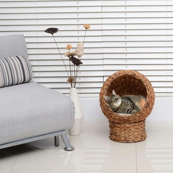 Rattan wicker cat bed placed upright, domed basket with light cushion for resting