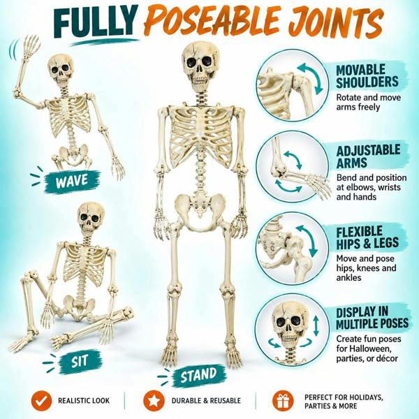 Halloween Life Size Poseable Skeleton Prop 165cm - Realistic Human Skeleton Decoration image 4