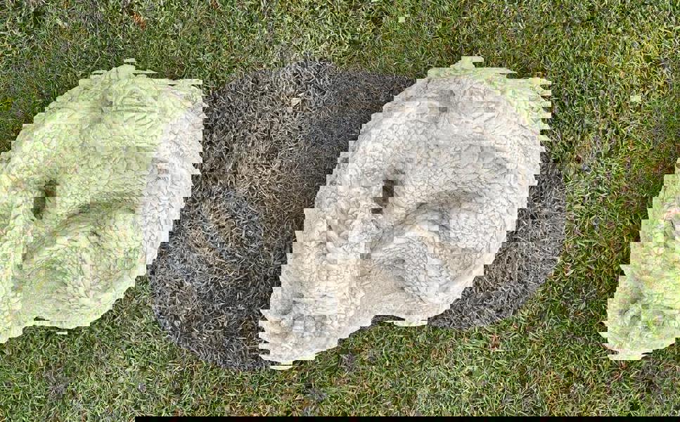 Medium Sleeping Stone cast Dragon