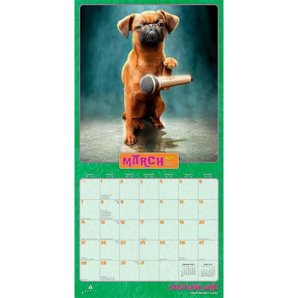 Dogs Gone Wild Calendar 2027, Wall Calendars, Month To View, Dogs, Gift