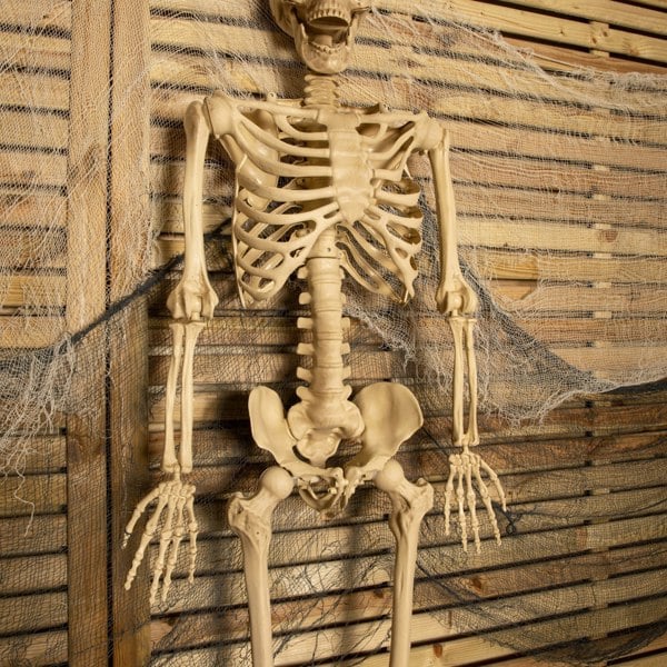 Samuel Alexander 5ft (150cm) Posable Full Body Halloween LED Skeleton Decoration with Movable Joints and LED Eyes