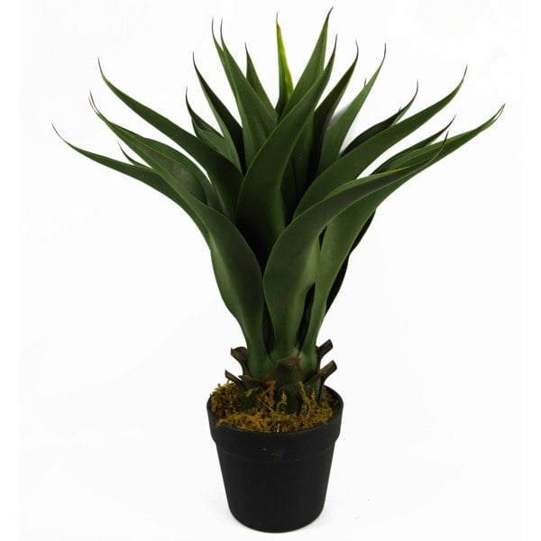 Leaf 55cm Artificial Yucca Plant