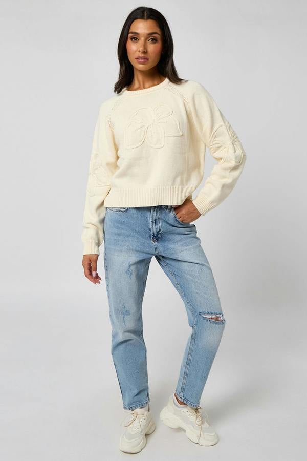 Urban Bliss Crochet embroidery raglan jumper