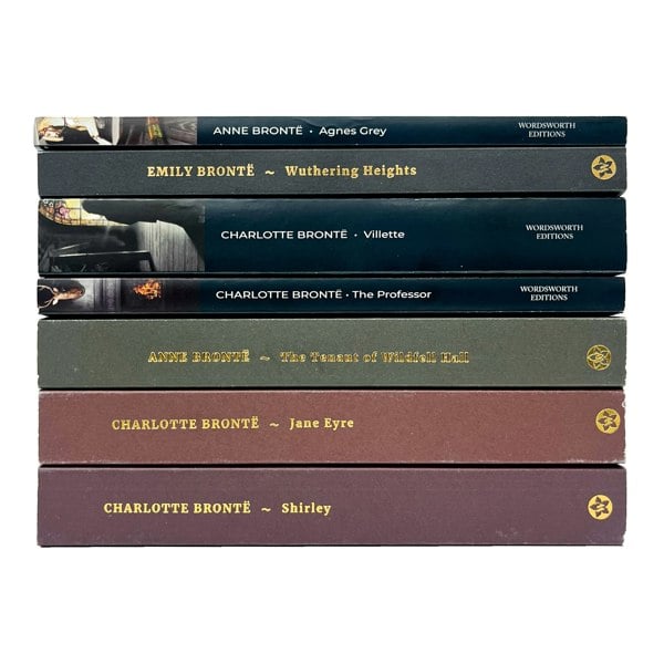 The Bronte Sisters 7 Book Set: Agnes Grey, Wuthering Heights, Villette, The Professor & more