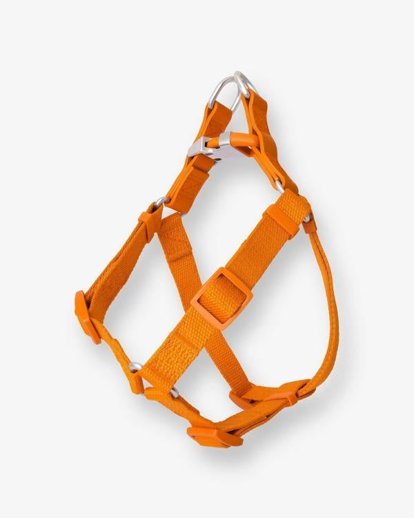 Barc London Mandarin Orange Dog Harness