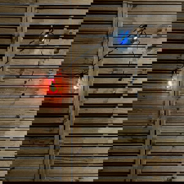 Samuel Alexander 4.5m Set of 10 Connectable Festoon Bulb Lights in Multi-Coloured with Timer Function