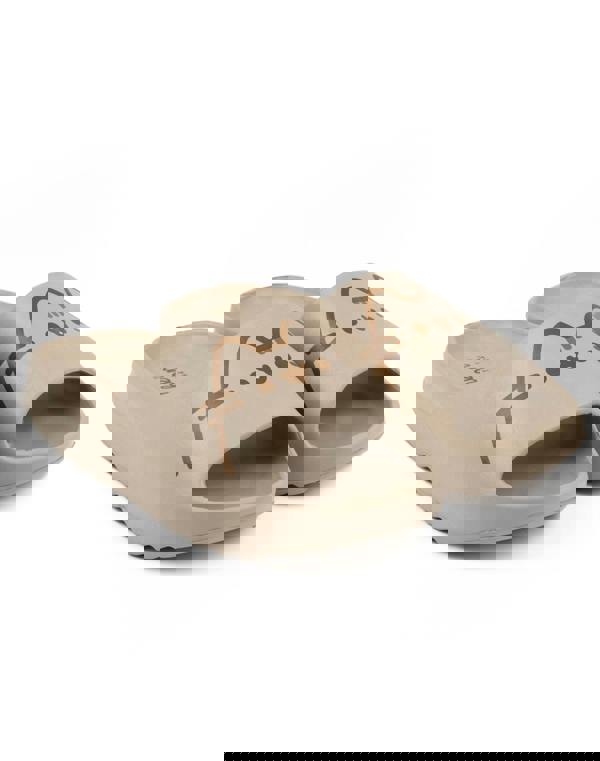 Pusheen Girls Brown Character Sliders