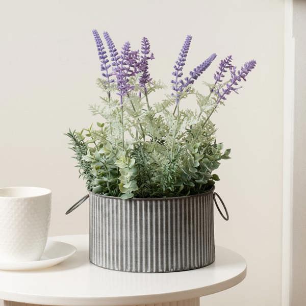 Scottish Everlastings 37.5cm Lavender in Iron Pot