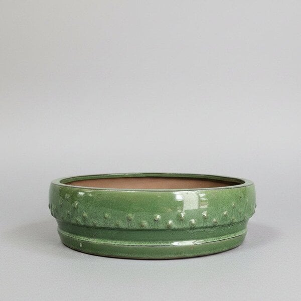 Yorkshire Bonsai 31cm Glazed Bonsai Pot | Round Drum Style | 31cm x 8cm | Green