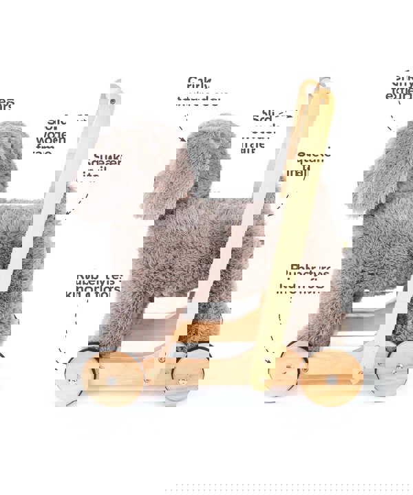 Infographic image of Bailey Dog Baby Walker showing features and benefits