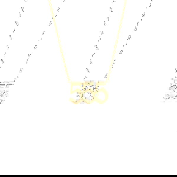Say It With Angel Number Necklace - Gold Plated - 555