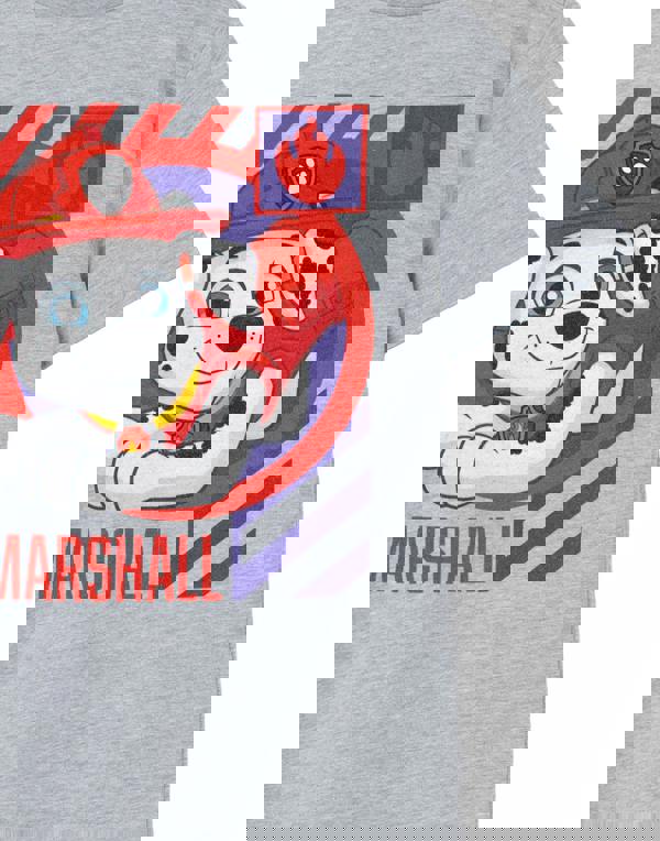 Paw Patrol Boys Grey Marshall Short Sleeved T-Shirt