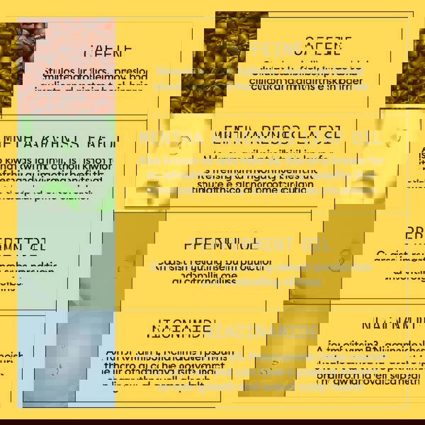 Nioxin Pro Clinical Gifts & Sets System 1 Trial Kit for Natural Hair with Light Thinning - Additional 6