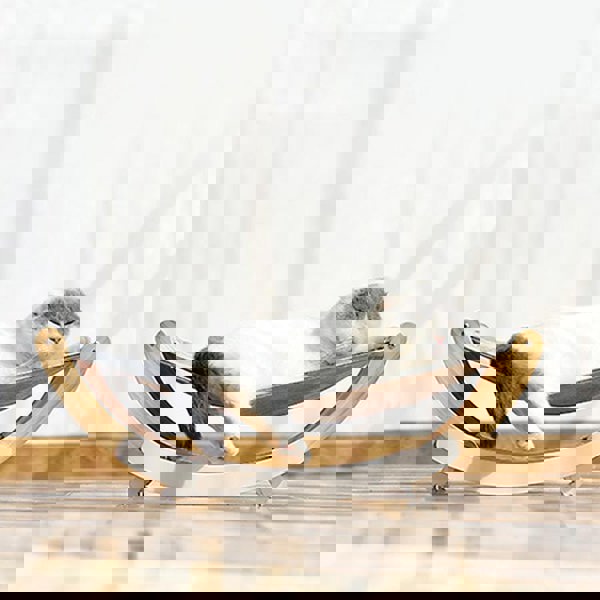 AO21 Pet Furniture-Weilai Concept-Weilai Concept