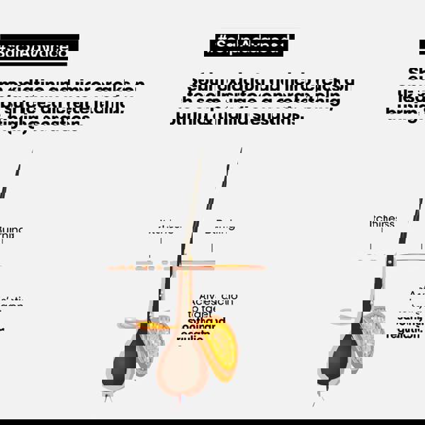 L'Oréal Professionnel Scalp Advanced Anti-Discomfort Dermo-Regulator Shampoo 300 ml