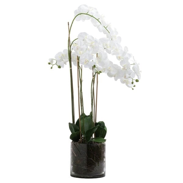 Wyld Haus Artificial Flowers Large White Tall Orchid in Glass Pot