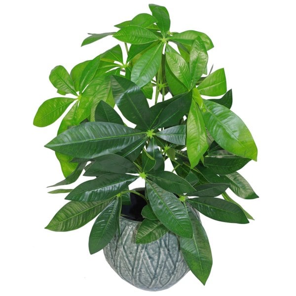 Leaf 50cm Artificial Money Tree Plant