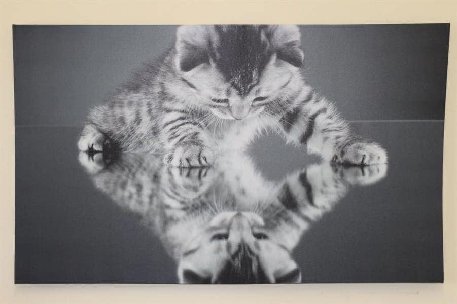 Large 'Kitten on a Mirror' Canvas Print 