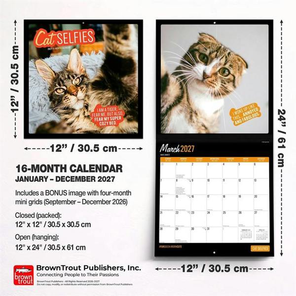 Cat Selfies Calendar 2027, Wall Calendars, Month To View, Humour, Gift