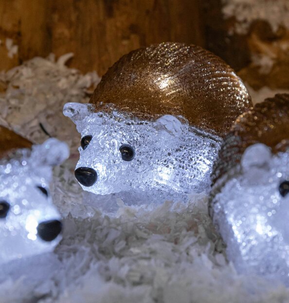 Samuel Alexander Set of 5 Battery Operated Brown Acrylic Christmas Hedgehogs with Cool White LEDs