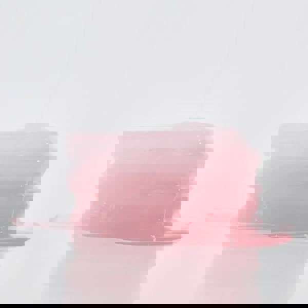 BIODANCE Collagen Gel Toner Pads