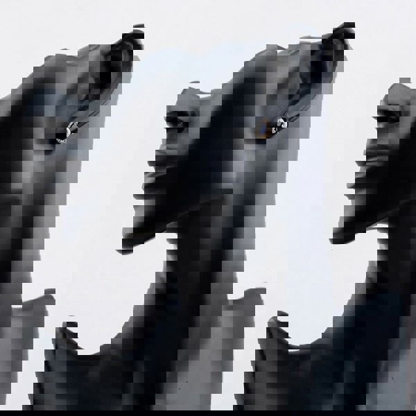 T. H. Baker 9ct Yellow Gold Pear Cut Blue Cubic Zirconia Halo Stud Earrings 1.59.1928