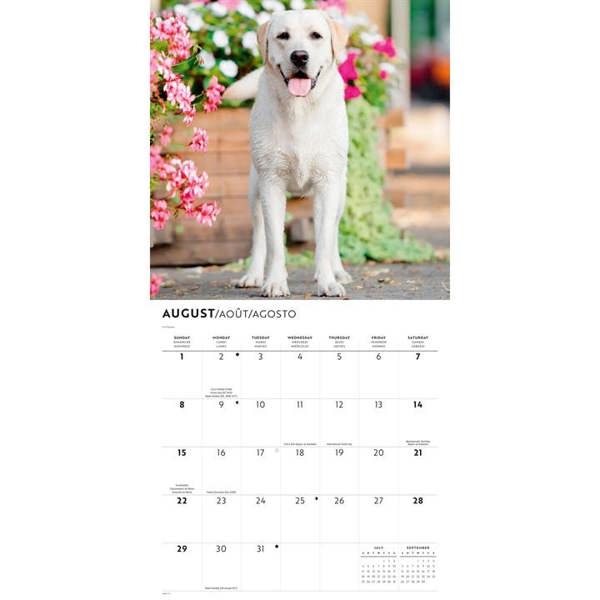 Yellow Labrador Retrievers Calendar 2027, Wall Calendars, Month To View, Dogs, Gift