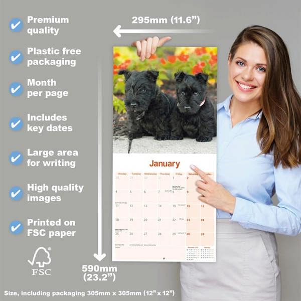Scottish Terrier Calendar 2027, Wall Calendars, Month To View, Dogs, Gift