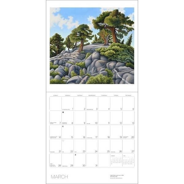 Phyllis Shafer, Nature Divine Calendar 2027, Wall Calendars, Month To View, Art, Gift