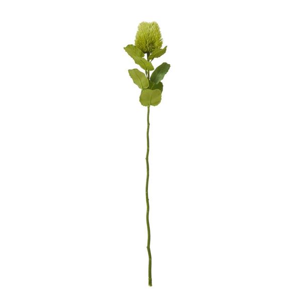 Wyld Haus Set of 3 Artificial Flowers Green Banksia Stems