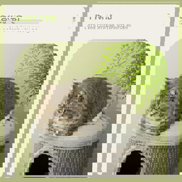 D30-535V00LG
