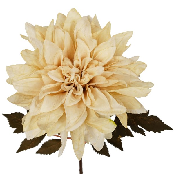 Leaf Pack of 6 x 55cm Dahlia Flower Stem - Dusty Cream