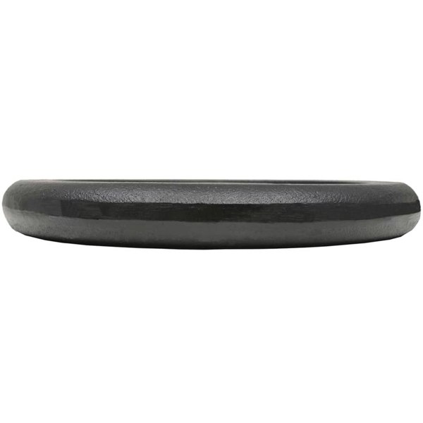 Berkfield Weight Plates 2 pcs 2x10 kg Cast Iron